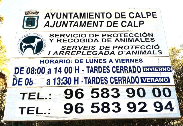 https://www.calpeonline24.com/images/calpe_poun.jpg